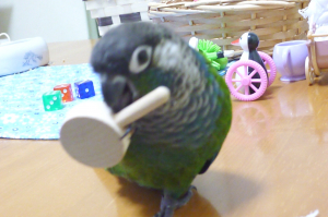 フライパンの中身は…？