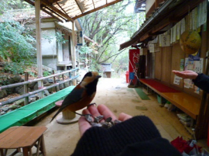 自分の手を自分で撮ってます