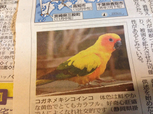 新聞にこんなの載ってた^_^