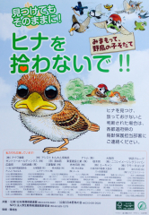 (個人的に)萌ぇ〜&#128525;