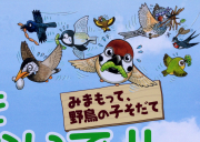 ツバメが良い味出してます &#8264;