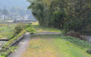 そぼくな風景