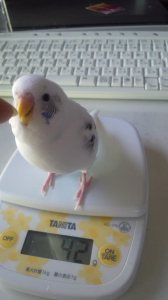 やればできる子じゃん♪