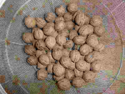 500g（約70個）
