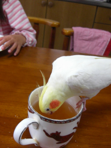ボクにもコーヒーを飲ませておくれ！