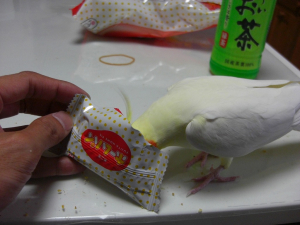 パイも大好きなのだ