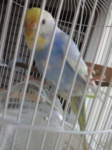 またを開いてガシッ