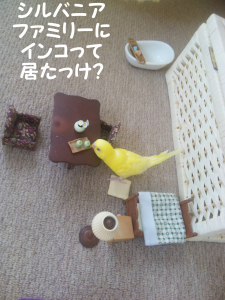 シルバニアファミリー？