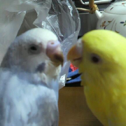ラブラブ