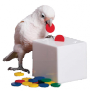 鳥さん用貯金箱セットS