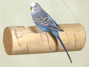 Bird Kabob Nest★ユッカネスト