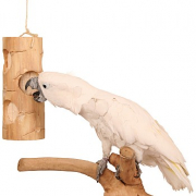 Bird Kabob★バードカバブ