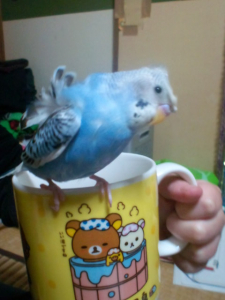 もやし