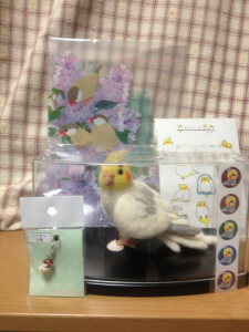第６回　鳥の会　戦利品