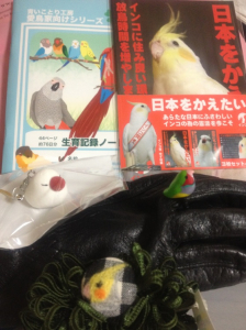 鳥の会　戦利品