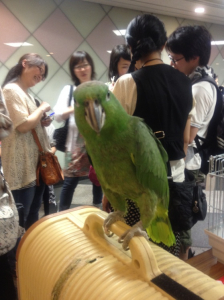 勝手に撮るなよって目？