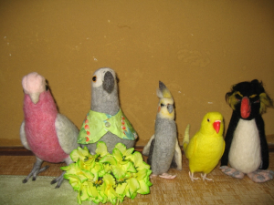 羊毛インコ―ズ