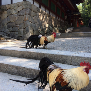 石上神宮にて