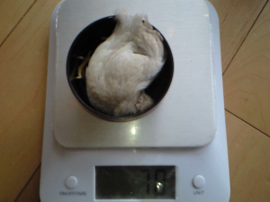 息できるのでしょうか？
