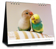 インコのいる暮らしカレンダー
