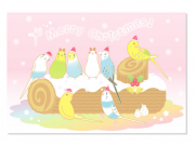 セキセイインコ　クリスマスカード