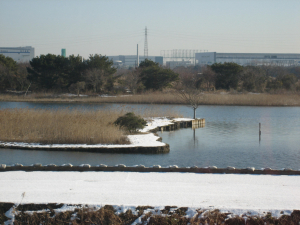 野鳥観察舎からの正面の風景