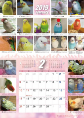 2019年 鳥づくし壁がけカレンダー