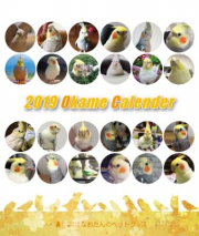 2019年 オカメづくし卓上カレンダー