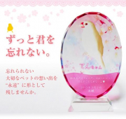 サイズ、背景画像のバリエーションがございます