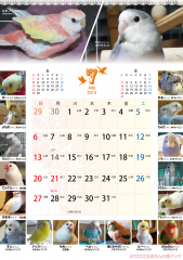 2014年壁掛け鳥づくしカレンダー7月