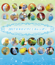 2017年　セキセイづくし卓上カレンダー