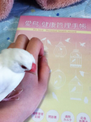 素敵なものを本当にありがとうございます
