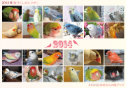 2014年壁掛け鳥づくしカレンダー表紙