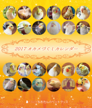 2017年　オカメづくし卓上カレンダー