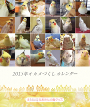 オカメインコ　卓上カレンダー