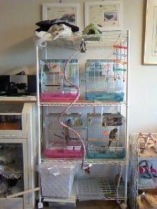 うちの籠置き場です。