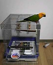 出ちゃいました！