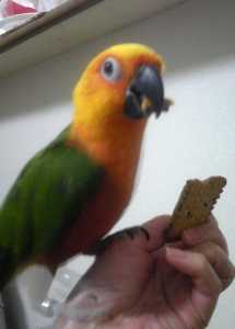 「うまいでし♪」