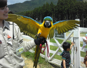 遊びに来てね！