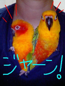 ((||ﾟДﾟ)　ひぃぃぃっ！！　(ﾟДﾟ||))