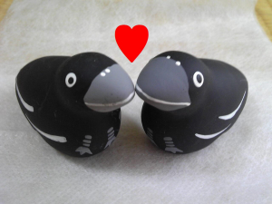 ２羽揃って・・めでたく夫婦となりました。