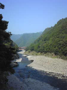 自然は美しいけど、時に厳しい・・・