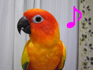 「お出かけちてあげてもよくてよ♪」
