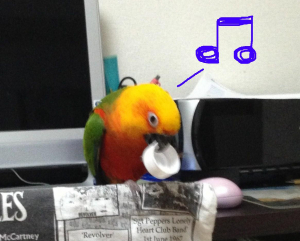 「いいモノ見つけたでし♪」