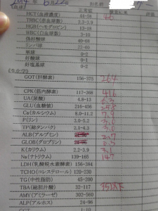 血液検査の結果
