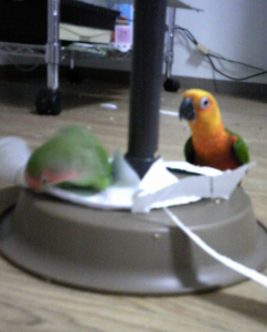 「目標のスキをうかがうでし！」