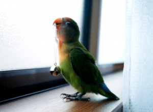 素敵な一年となりますように☆チリ〜ン