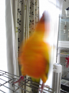 ワープします！