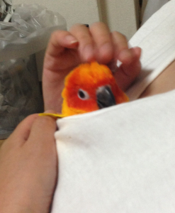 こんなに可愛いけど・・・