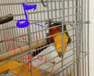 バル 「他所のゴハンは美味しいでし♪」